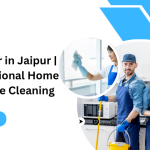 Cleaner in Jaipur