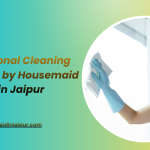 professional cleaner in Jaipur