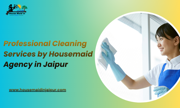 professional cleaner in Jaipur